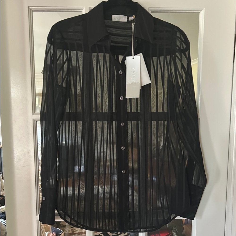 NWT Carlisle Black Sheer Striped Ludlow Blouse Size 4